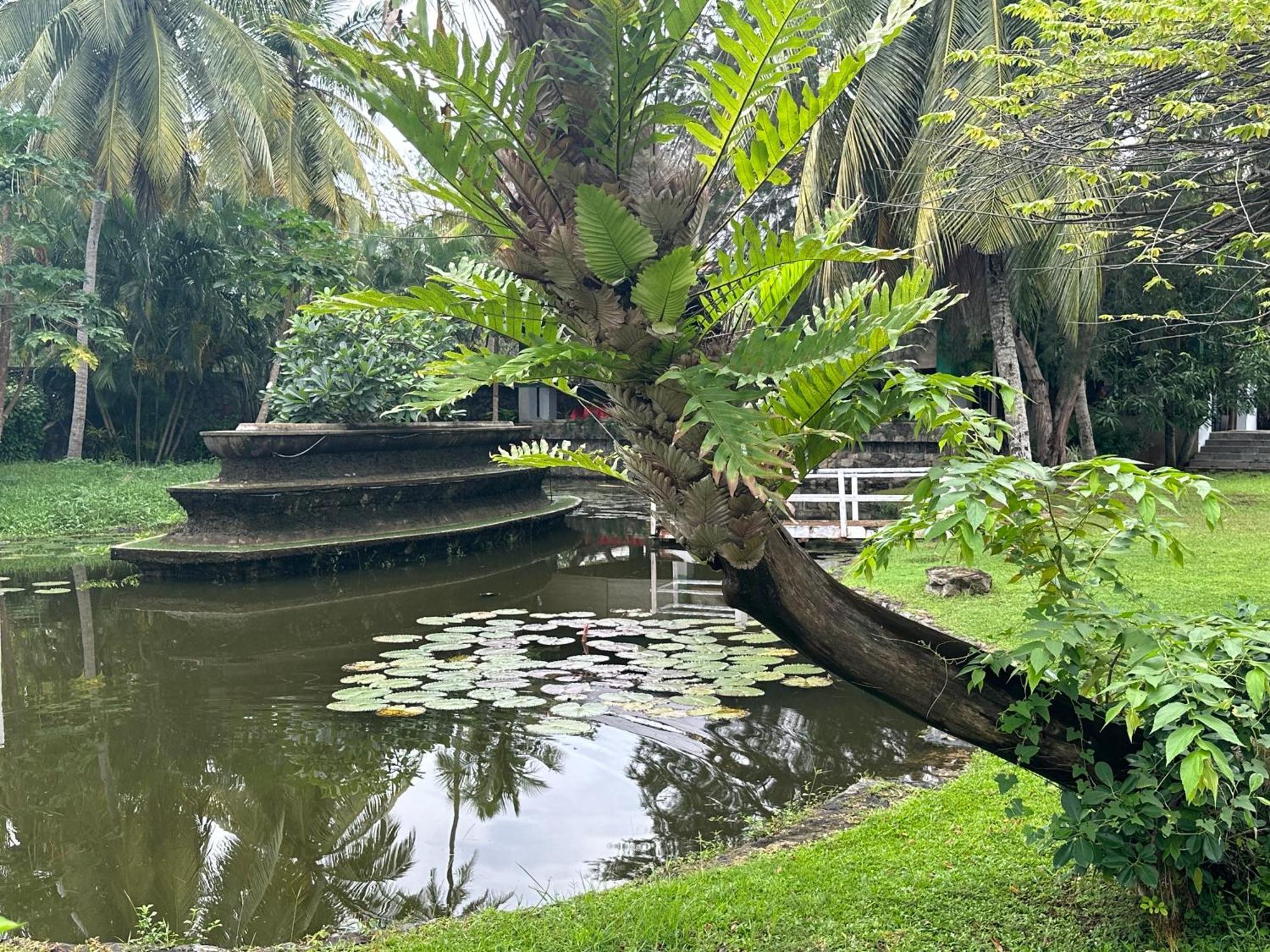 Amaluna Resorts Negombo Exterior foto