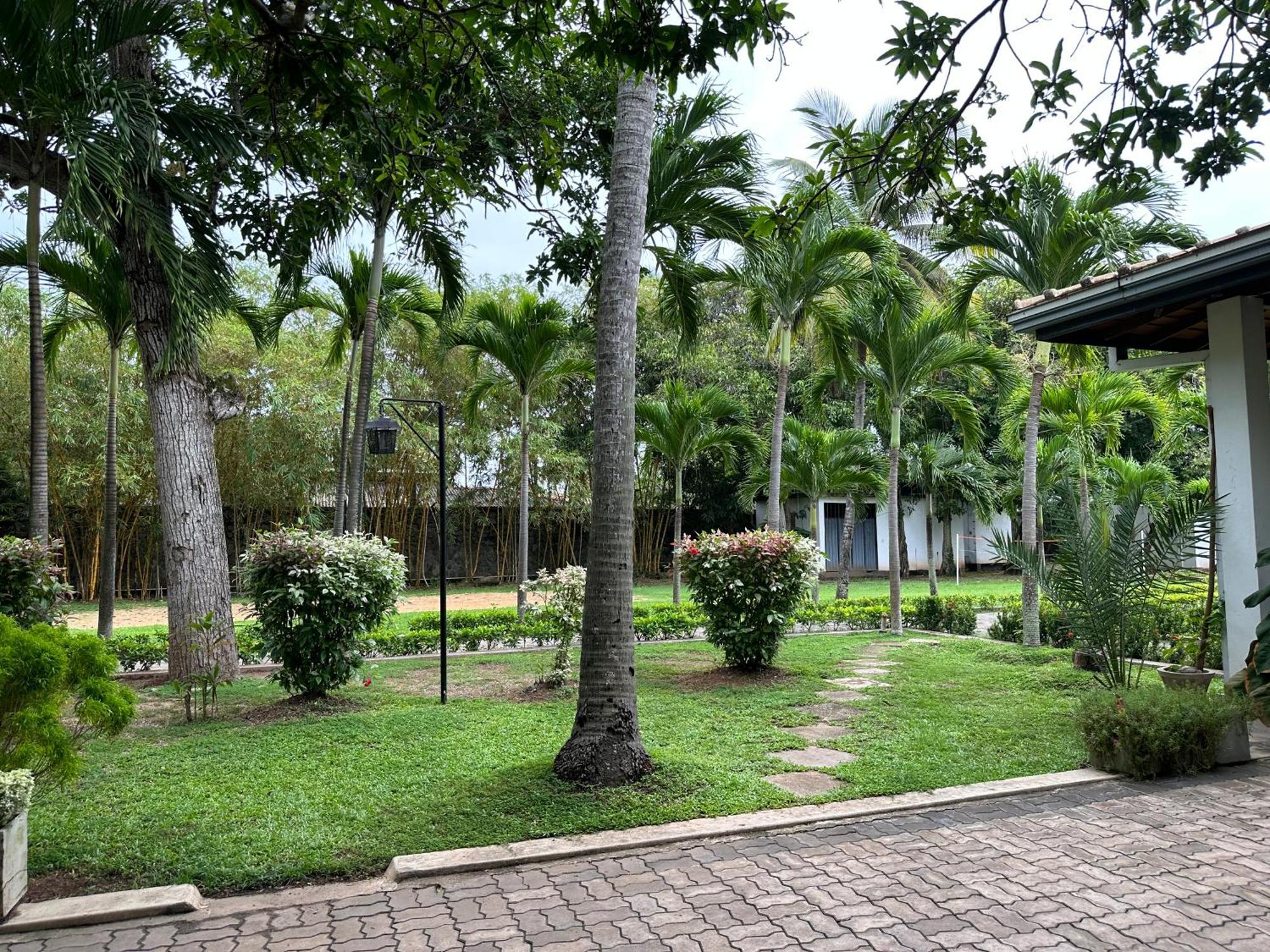 Amaluna Resorts Negombo Exterior foto