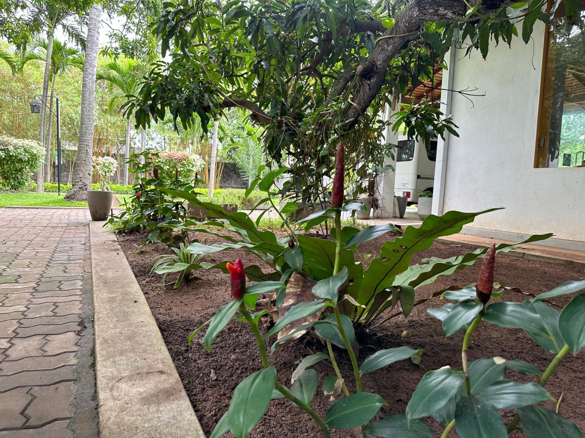 Amaluna Resorts Negombo Exterior foto