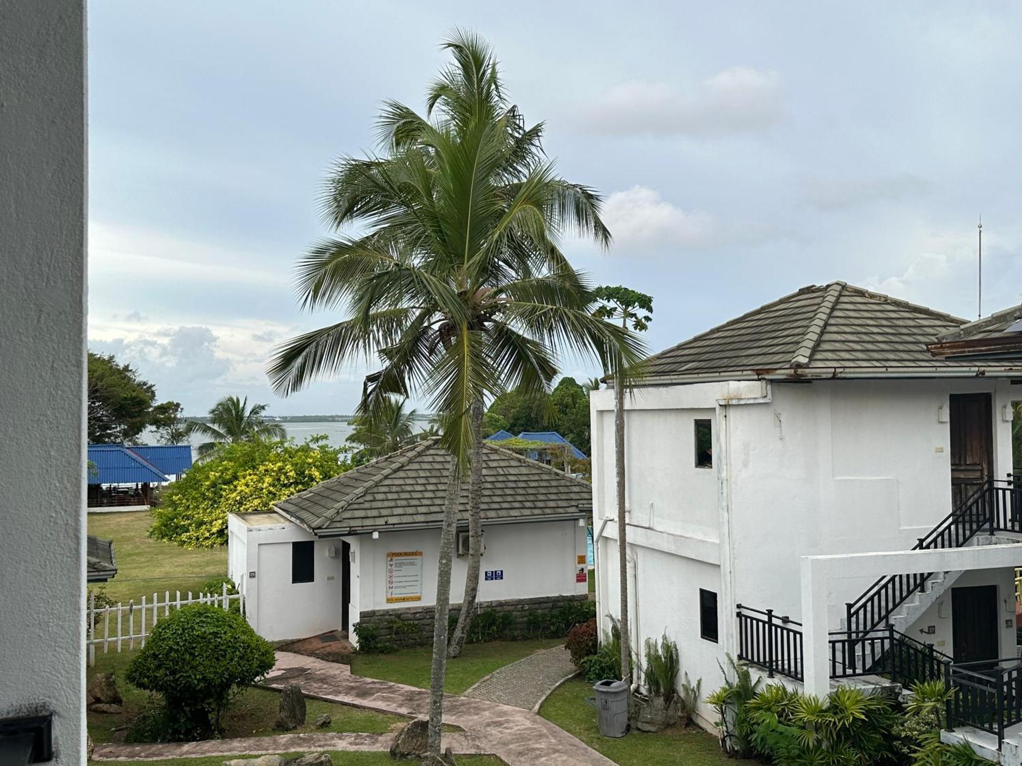Amaluna Resorts Negombo Exterior foto